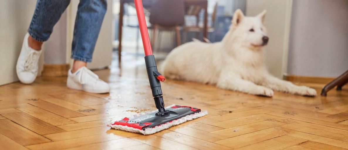 1-2Spray_in-use_with-dog.jpg3