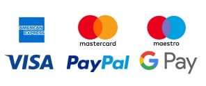 payment PayPal  logo