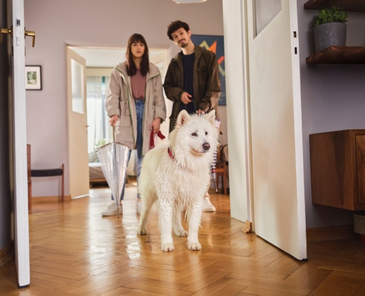 Untitled design (56).png